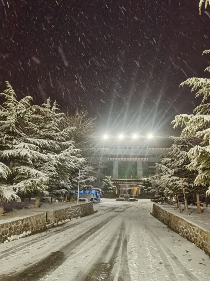 1689932485171753.jpg 墨竹的雪