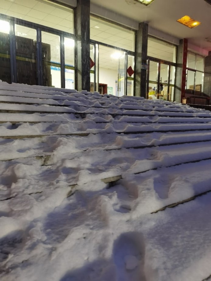 1689932485240608.jpg 墨竹的雪