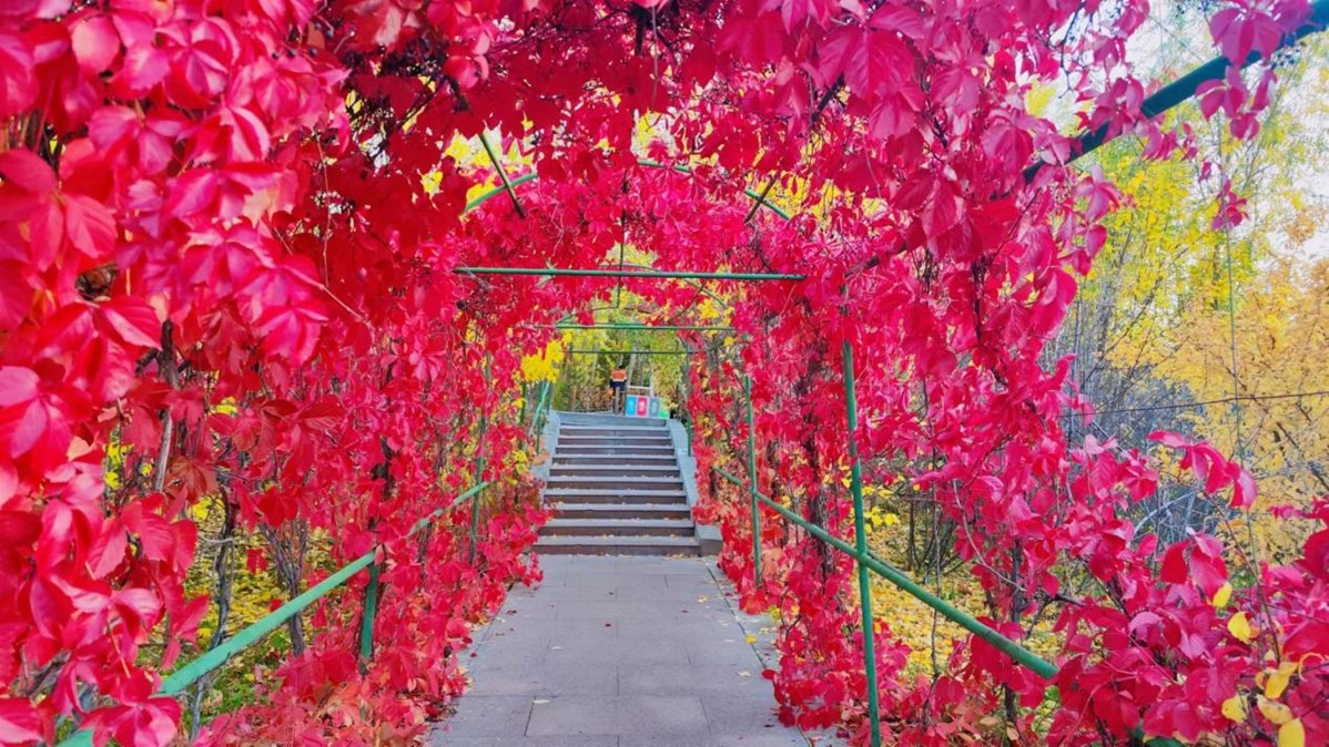 1728445630209149.jpg 走廊一景.jpg